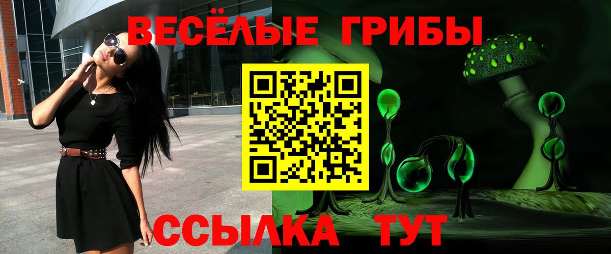 Апшеронск  Галлюциногенные грибы мицелий  Вход с VPN 